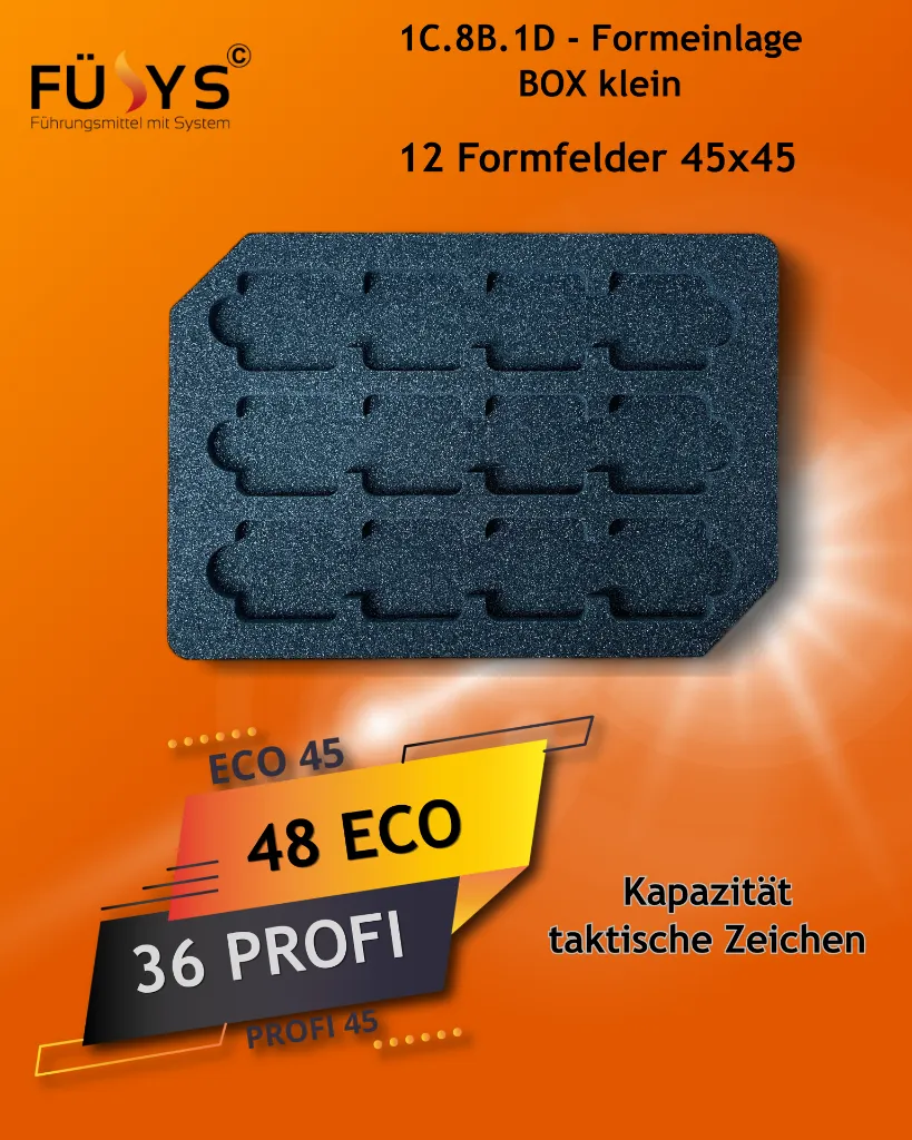A 1C.8B FÜsYS Formeinlagen Box klein.webp