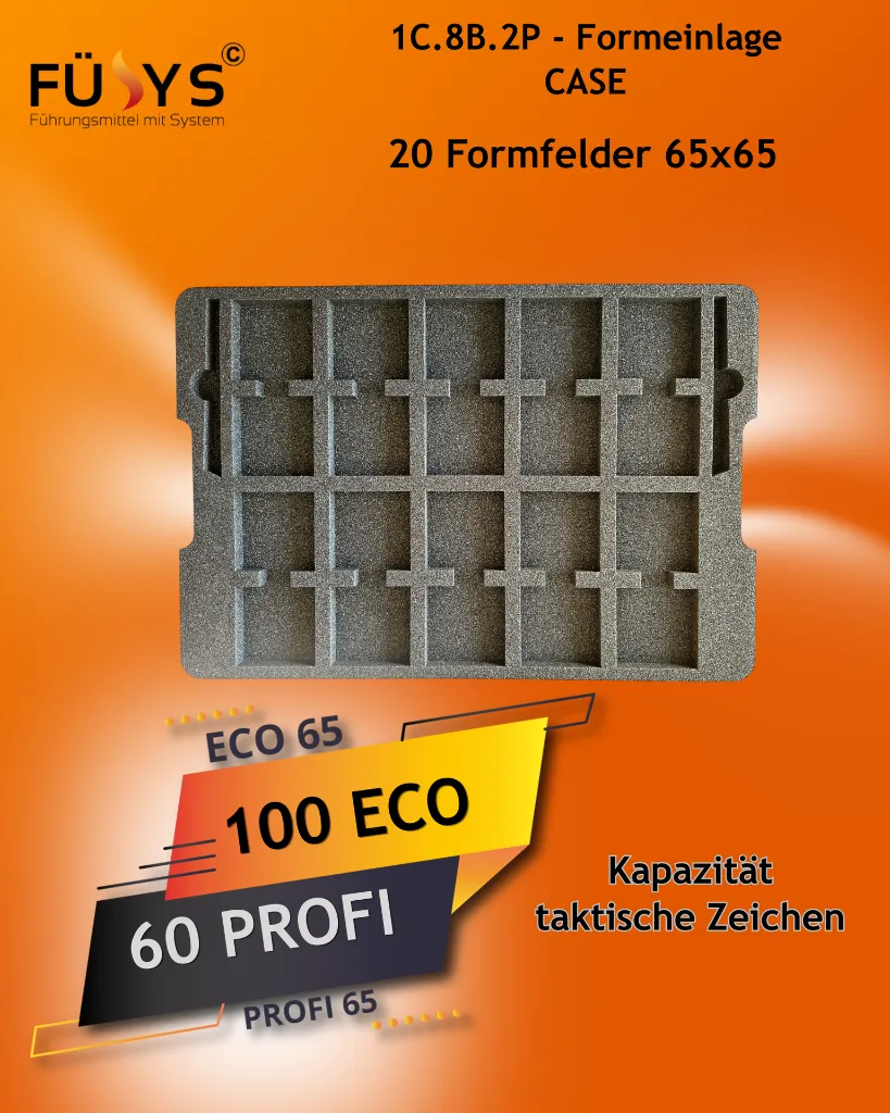 1C.8B.2P-Einlage-G65.webp