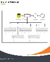 14.webp
